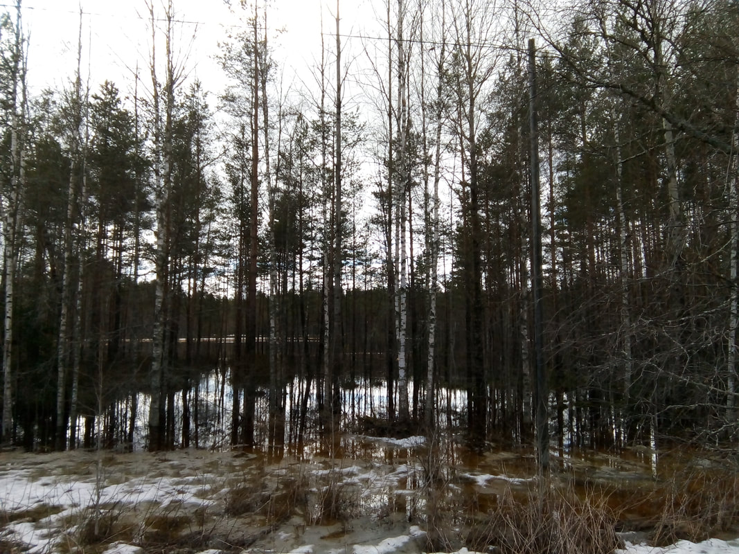 Hievanen tulvii kevättalvella 2018. 