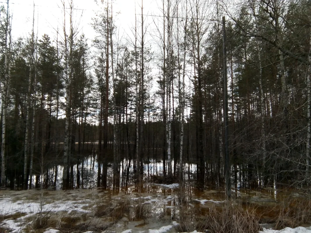 Hievanen tulvii kevättalvella 2018. 